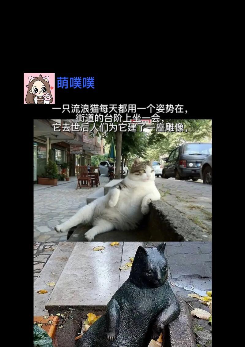 打造你的猫狗人生——《以猫的台阶》新手必看攻略（一步一步教你玩转这款有趣的游戏）